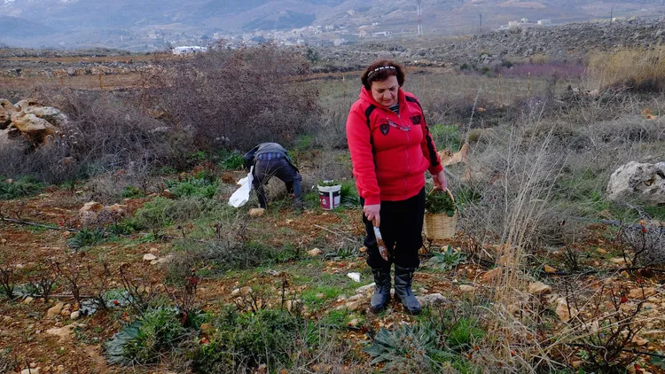 A trek through Lebanon's Mountain Trail opens the doors of hospitality