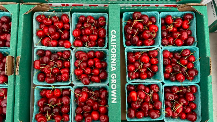 Clémence de Lutz heads to the farmer's market for cherries she can feature at Petit Grain Boulangerie, her new Santa Monica bakery.