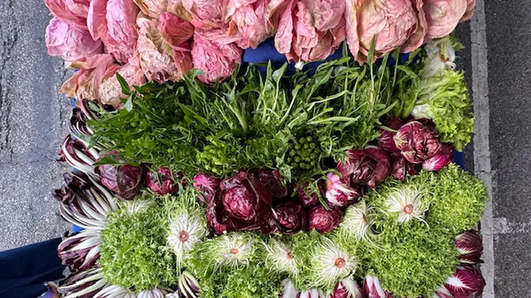 Austrian chef Bernhard Mairinger visits the farmers market to shop for his new restaurant, Lustig.