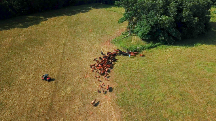 Filmmaker Peter Byck casts a lens on the maverick farmers and scientists working to solve the climate crisis.