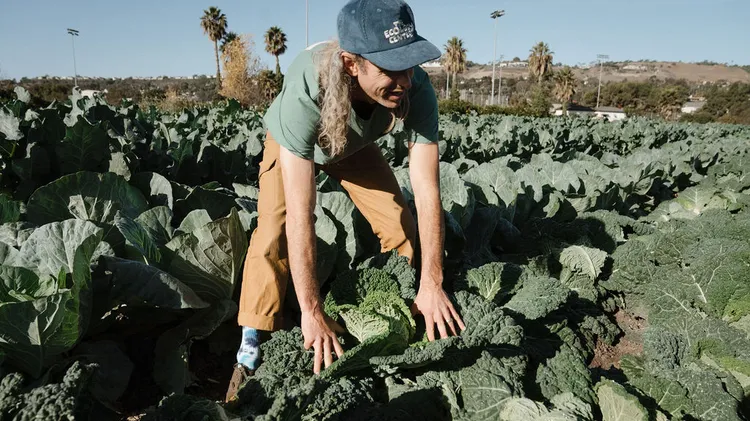 The Ecology Center is a blue dot in a red sea. How did Evan Marks come to run this 28-acre regenerative farm in Orange County?