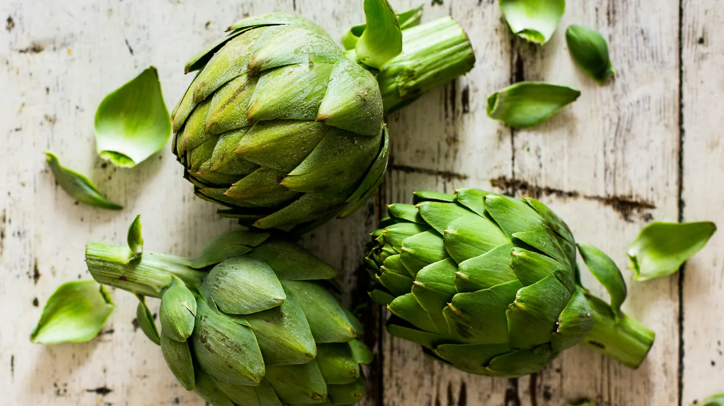 We cultivate artichokes before they bloom but if we allowed them to mature, we'd see a bristly periwinkle bloom.